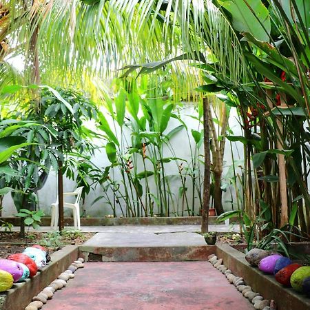 The Amazon Within Hostel Iquitos Ngoại thất bức ảnh